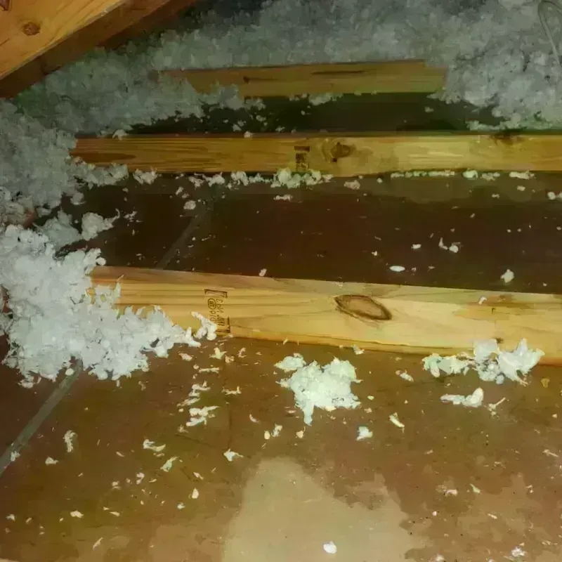 Attic Water Damage in Iroquois County, IL