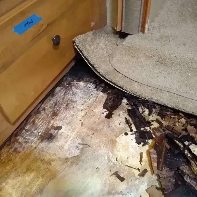 Best Wood Floor Water Damage Service in Iroquois County, IL